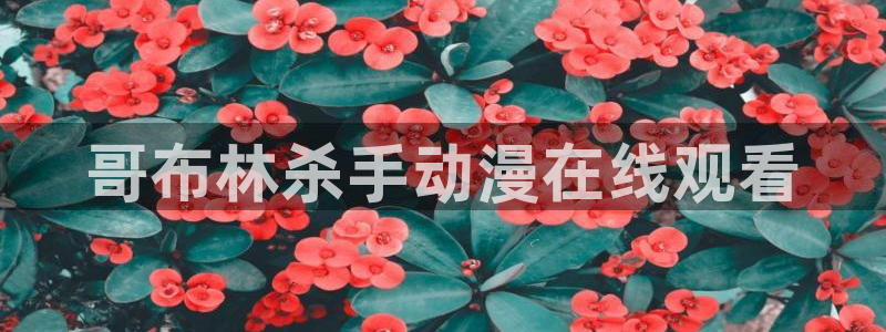 风车动漫 p 专注动漫的门户网站：哥布林杀手动漫在线观看