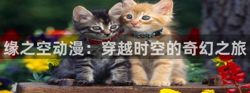 风车动漫xl上司：缘之空动漫：穿越时空的奇幻之旅