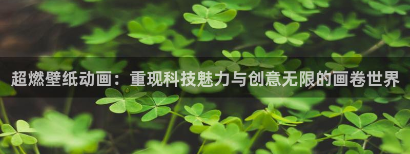缘之空风车动漫网：超燃壁纸动画：重现科技魅力与创意无限的画卷世界