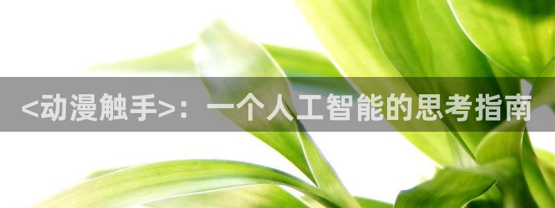 风车动漫在线高清免费观看：<动漫触手>：一个人工智能的思考指南
